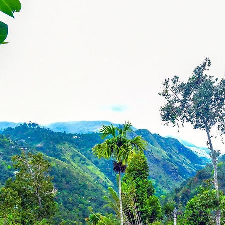 Ella Nimal Nest Inn المظهر الخارجي الصورة