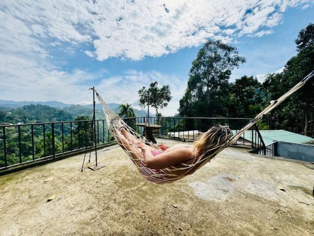 Ella Nimal Nest Inn المظهر الخارجي الصورة